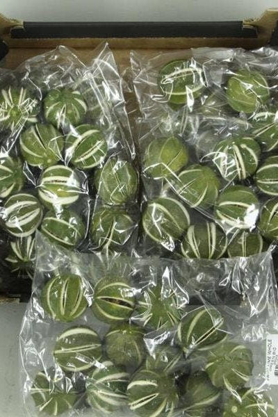Bag of 10 Natural Dried Limes - 1.75-2.25", DIY Christmas, Christmas ornaments, Plant based decors, Dried limes.